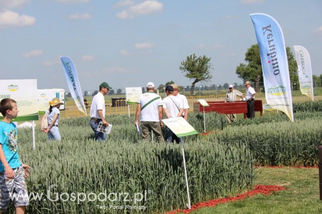 Polskie Zboża 2011 - Sobota
