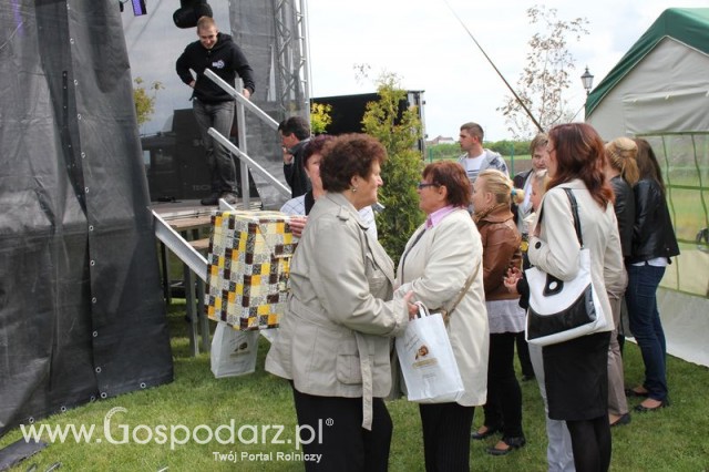 Występy artystyczne odbywające się podczas Dni Indyka