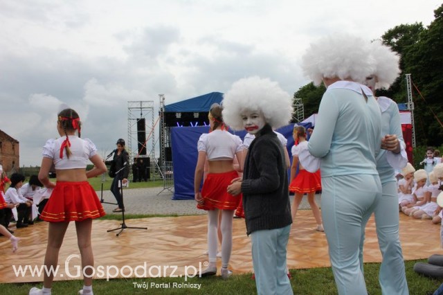 Występy artystyczne odbywające się podczas Dni Indyka