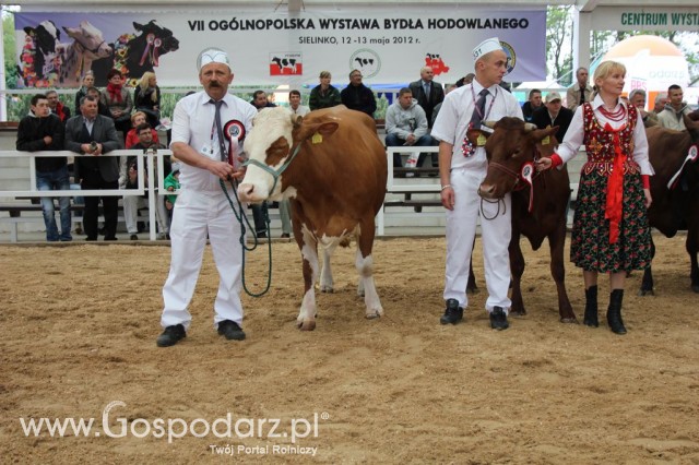 Prezentacja Championów na VII Ogólnopolskiej Wystawie Bydła Hodowlanego w Sielinku 2012 - 32