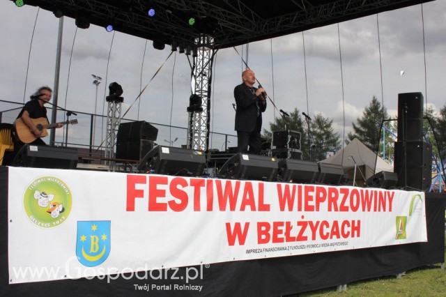 Festiwal Wieprzowiny w Bełżycach - 90