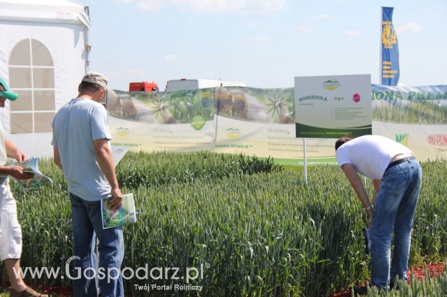 Polskie Zboża 2011 - Sobota
