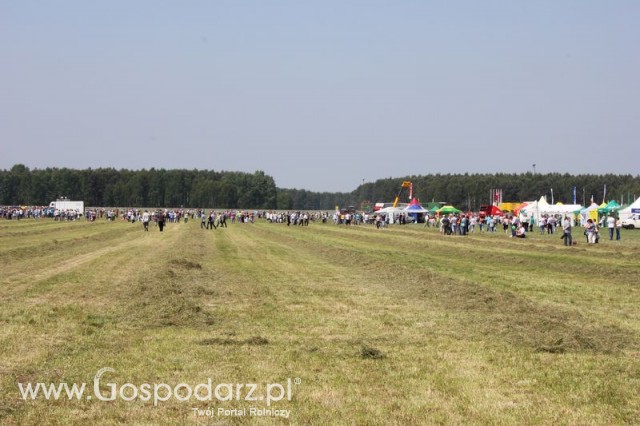 Zielone Agro Show pokaz maszyn rolniczych