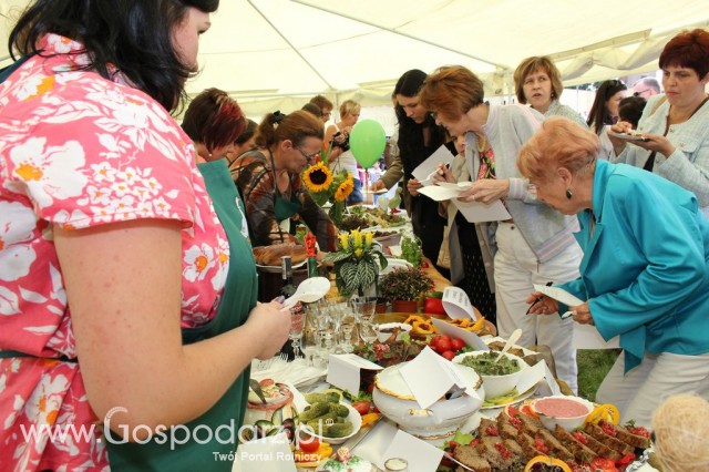 IX Święto Gęsi w Biskupcu - 91