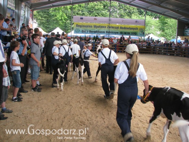 Młody Hodowca - Szepietowo 2012 - 86