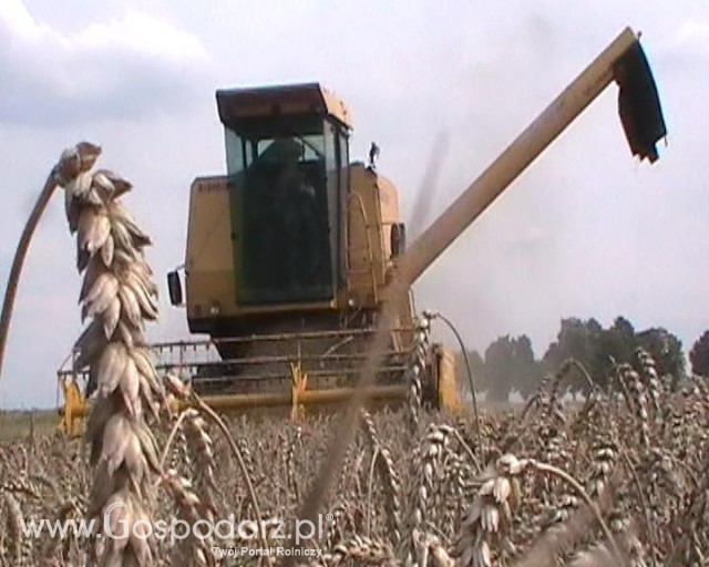 Żniwa (NH Clayson 5060)