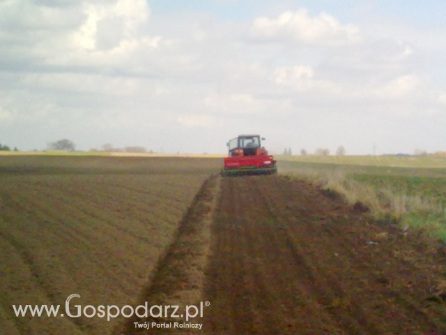 Akcja siew 2012 - 12