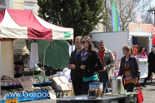 Fotoreportaż z XX Agro-Targów 2011 w Starej Łubiance