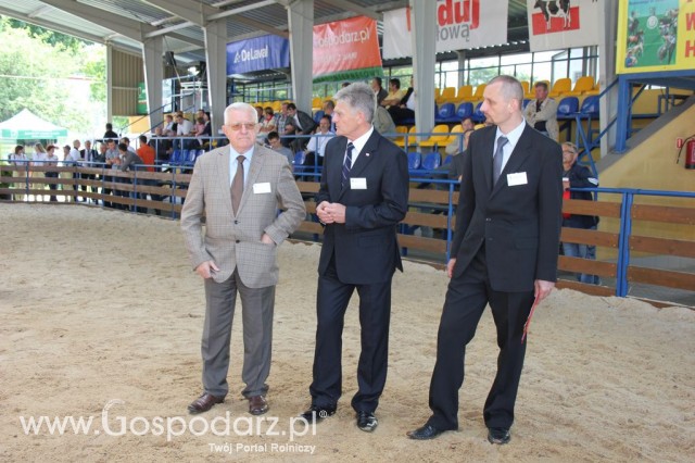 Bydło - Szepietowo 2012 XIX Regionalna Wystawa Zwierząt Hodowlanych - 49