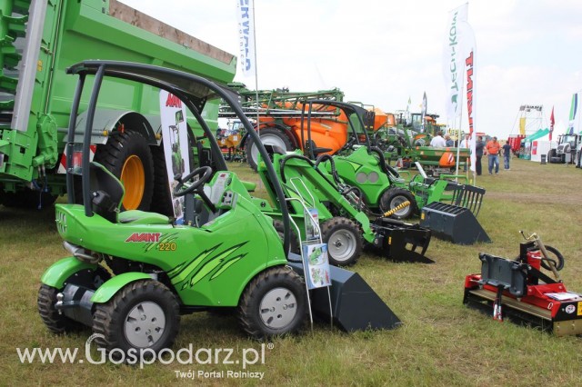 Serafin - Opolagra 2012 - 4