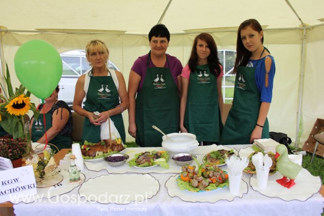 IX Święto Gęsi w Biskupcu - 25