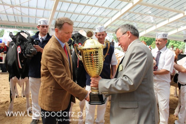VII Ogólnopolska Wystawa Bydła Hodowlanego - 44