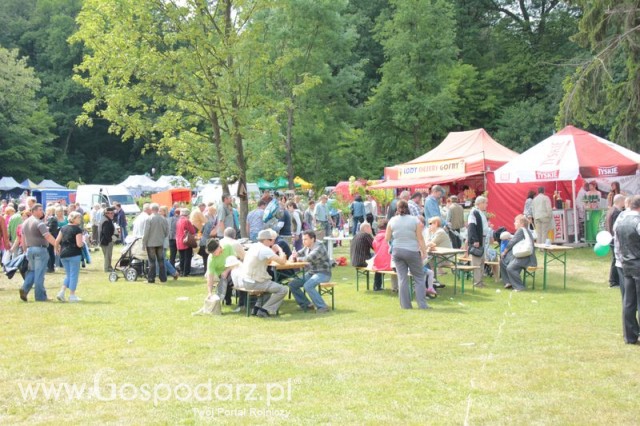 XX Targi Rolnicze Lubniewice 