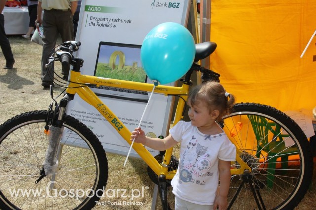 XXII Targi Rolniczo-Ogrodnicze Kościerzyn 2012 - 123