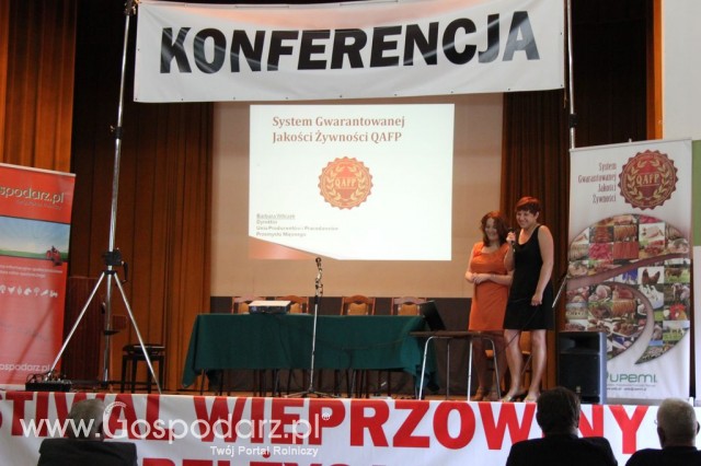 Festiwal Wieprzowiny w Bełżycach/Lublin - 32