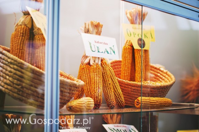 Polagra Premiery 2012 - 44