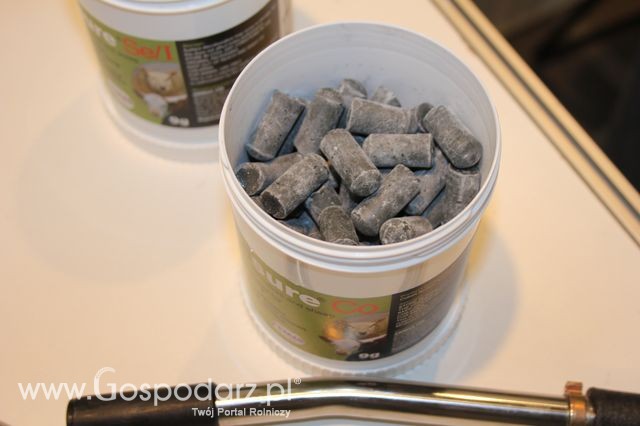 Fotoreportaż  z XI Międzynarodowych Targów Fermy Bydła