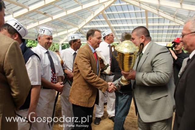 VII Ogólnopolska Wystawa Bydła Hodowlanego - 36