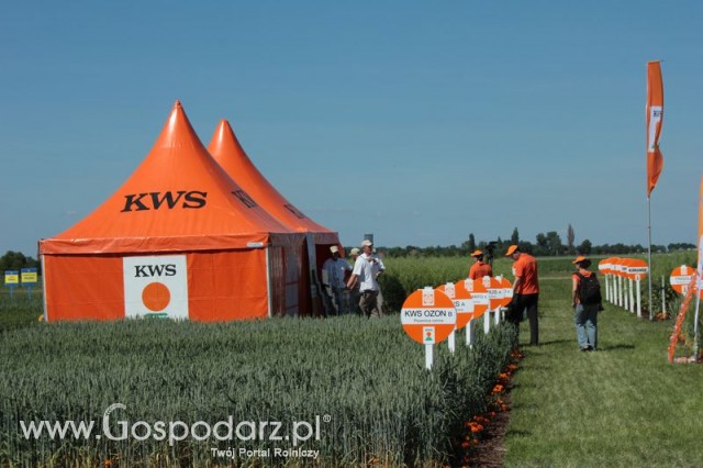 Polskie Zboża 2011