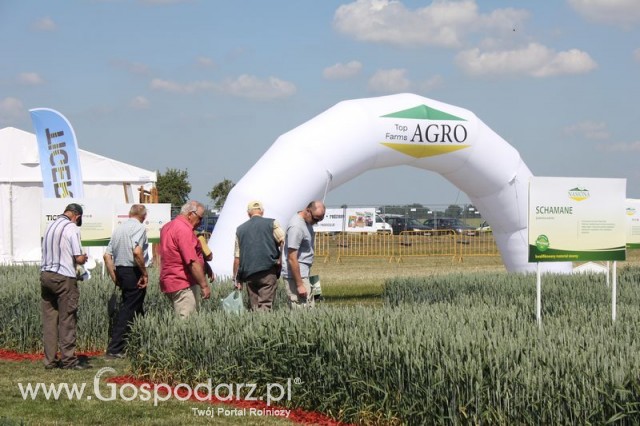 Polskie Zboża 2011 - Sobota