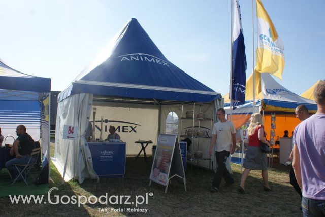 Zdj. - 397 - Animex Sp. z o.o.