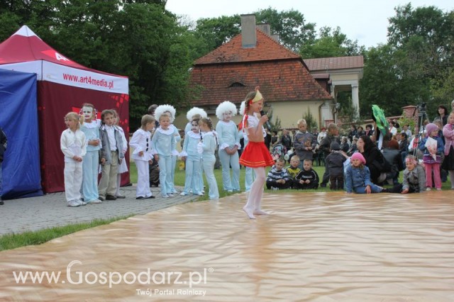 Występy artystyczne odbywające się podczas Dni Indyka