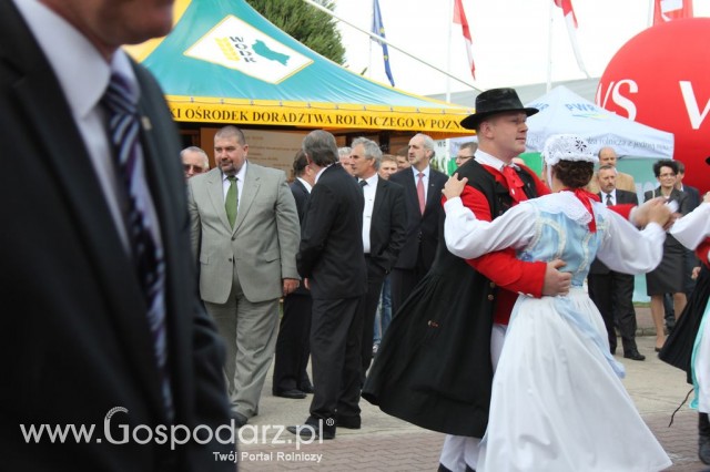 VII Ogólnopolska Wystawa Bydła Hodowlanego - 26