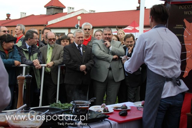 VII Ogólnopolska Wystawa Bydła Hodowlanego - 20