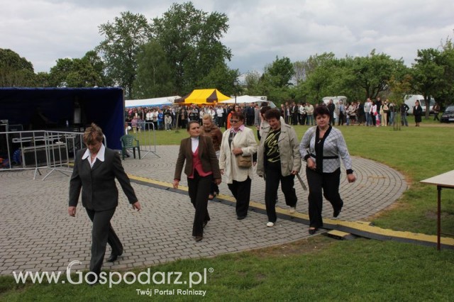 Występy artystyczne odbywające się podczas Dni Indyka