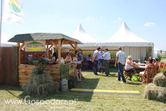 Polskie Zboża 2011 - Sobota