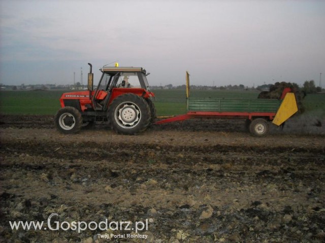 Ursus 1014 de lux i rozrzutnik 