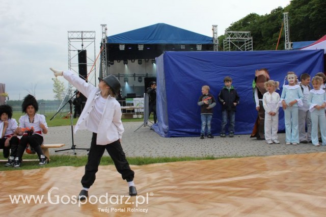 Występy artystyczne odbywające się podczas Dni Indyka