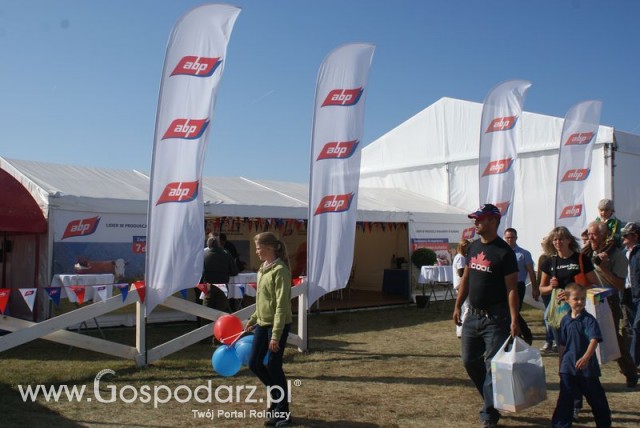 Zdj. - 465 - ABP POLAND Sp. z o.o.