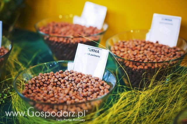 Polagra Premiery 2012 - 46