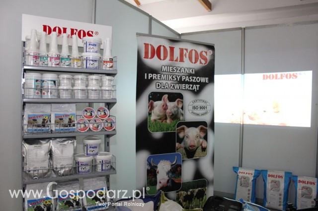 VII Ogólnopolska Wystawa Bydła Hodowlanego - 112