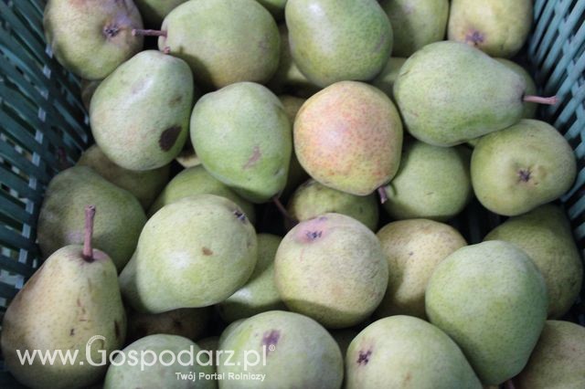 Fotoreportaż z XI Międzynarodowych Targów Fermy Bydła