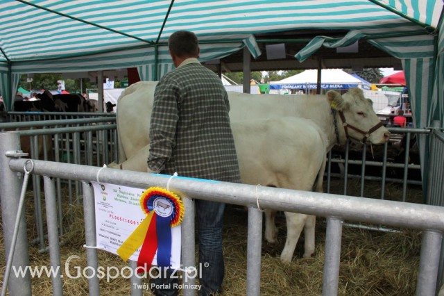 Relacja Foto Agro-Tech Minikowo 2012 - 61