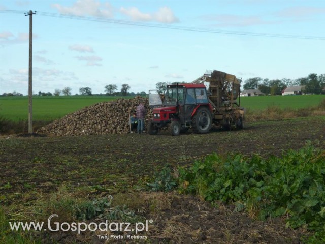 Zetor 5211 i Neptun przy pryzmie 