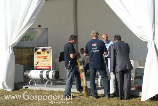 Zdj. - 107 - TAMA POLSKIE FOLIE