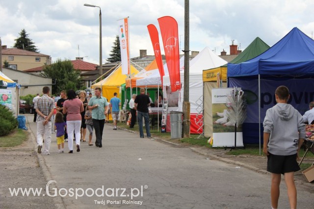 Festiwal Wieprzowiny w Bełżycach - 32
