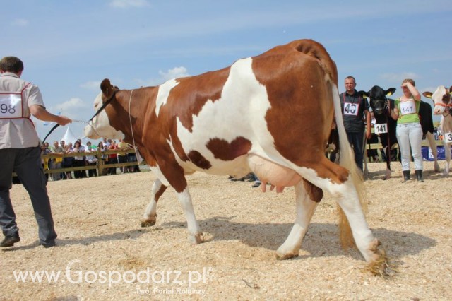 Nagordy dla superchampionów i championów  - 73