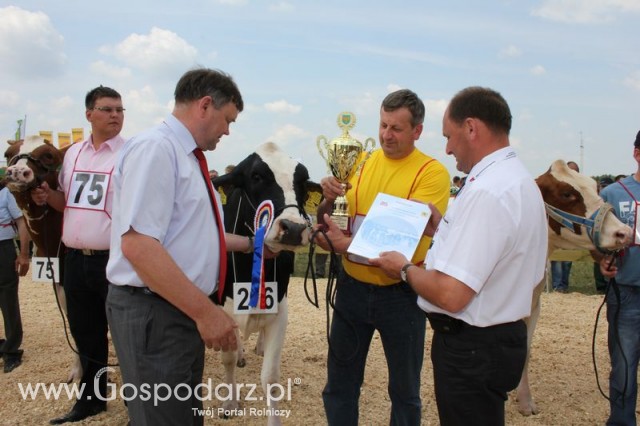 Nagordy dla superchampionów i championów  - 25