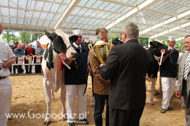 VII Ogólnopolska Wystawa Bydła Hodowlanego - 47