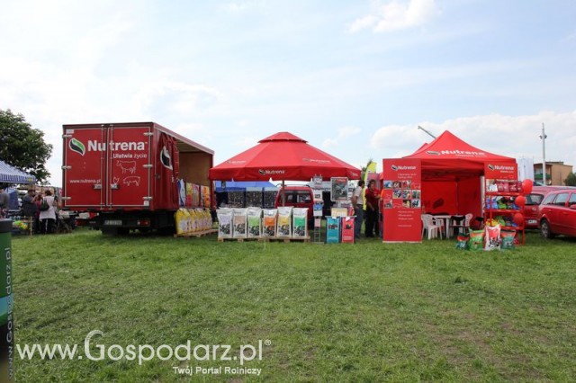 Stoisko Nutrena