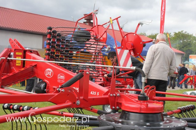 VII Ogólnopolska Wystawa Bydła Hodowlanego - 92