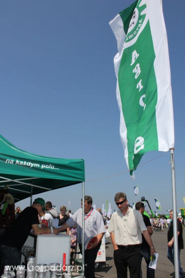 Stoisko Przedsiębiorstwa Handlowego 