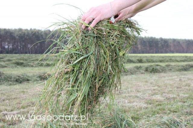 Zielone Agro Show pokaz maszyn rolniczych