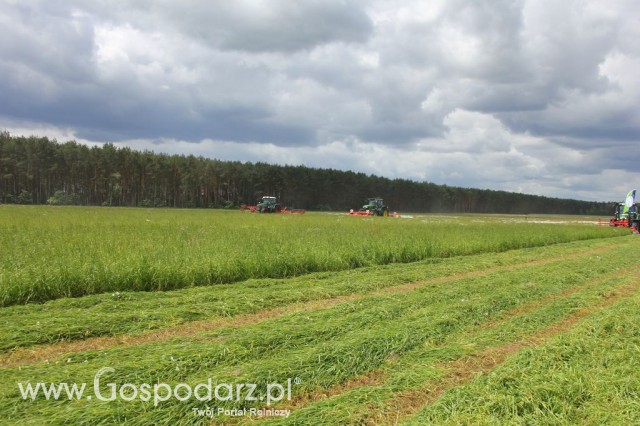 Pokazy Maszyn Polskie Zboża Zielone Agroshow 2012  - 63