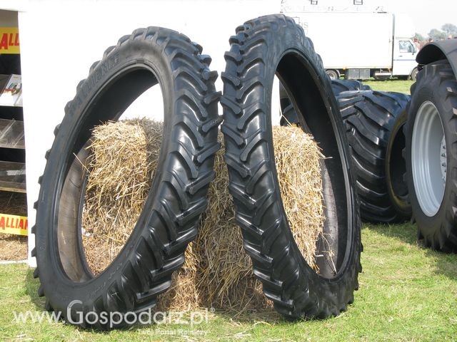 Foto reportaż z AGRO SHOW Bednary 2010