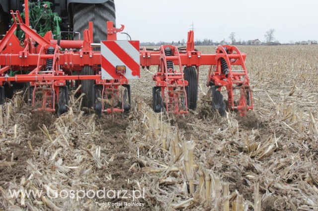 Kultywator STRIGER do uprawy pasowej - 27